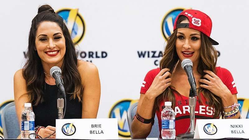 The duo worked on many projects together before they started wrestling